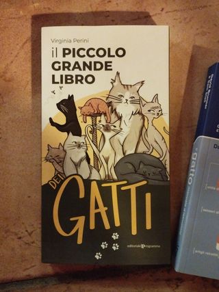 Il gatto