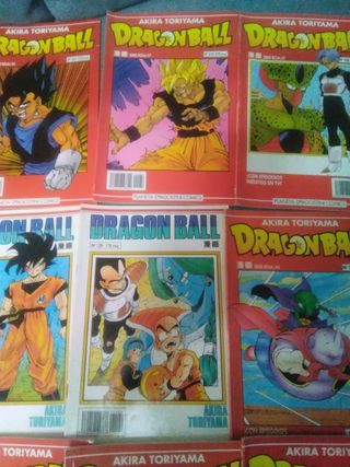 Manga dragón ball.