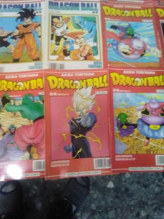 Manga dragón ball.