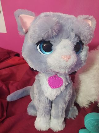 Gato interactivo 🐱