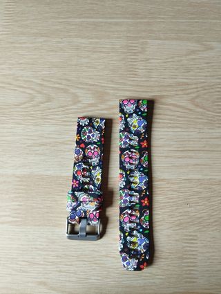 Estuche y correas garmin fénix 5
