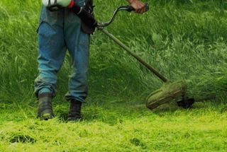 Trabajos de jardinería