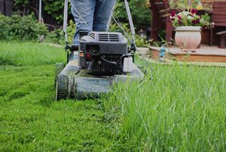 Trabajos de jardinería