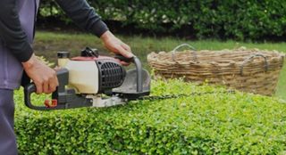 Trabajos de jardinería