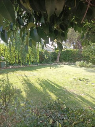 Trabajos de  Jardinería, limpieza y mantenimiento