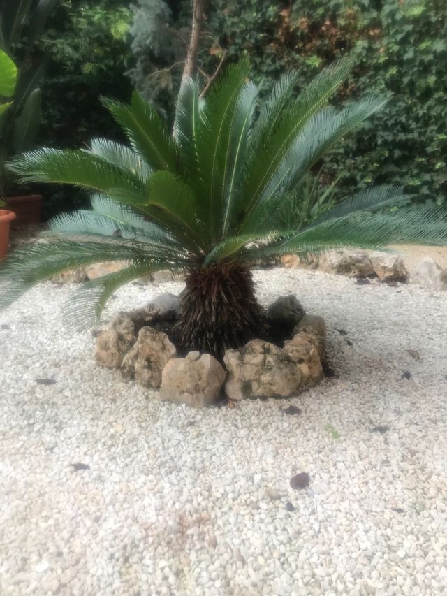 Ragazza molto carina