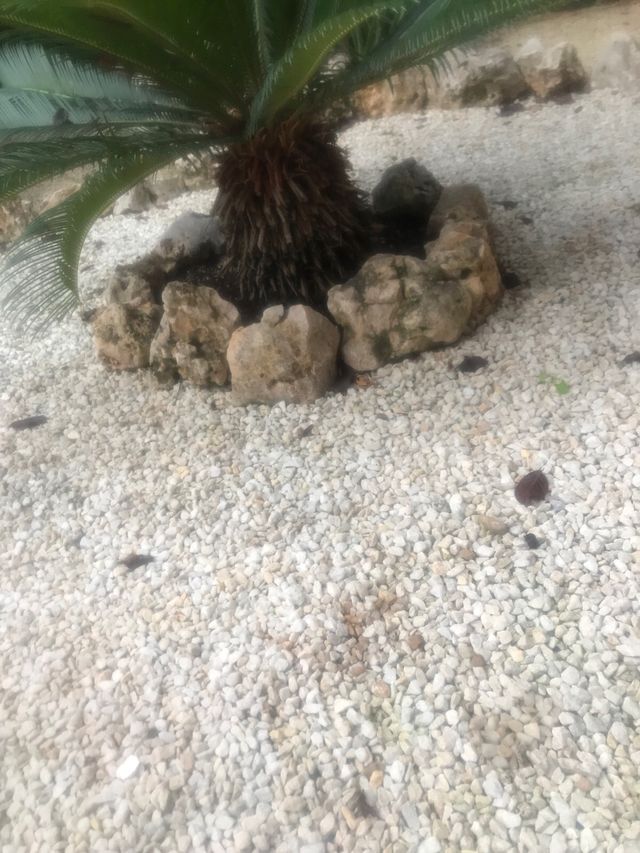 Ragazza molto carina