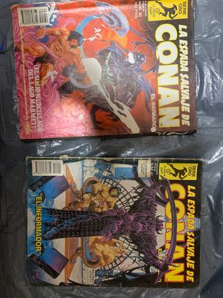 La Espada Salvaje de Conan el Bárbaro