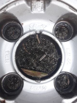 Llantas Ford Focus 15"