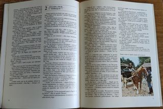 Los famosos cinco. Especial TV (1979) Enid Blyton