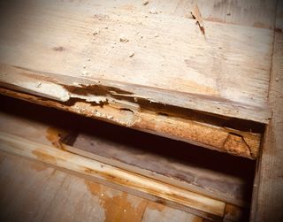 restauracion de muebles