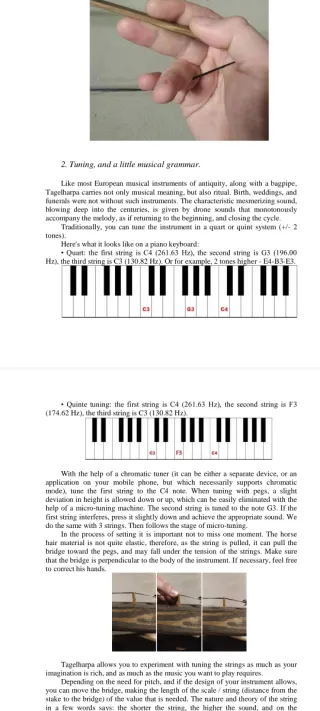 Tagelharpa violín vikingo