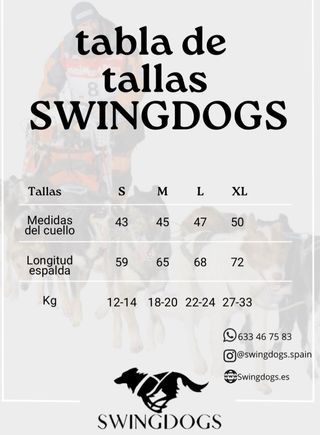 Conjunto de canicross 