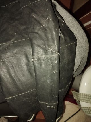 Cazadora tipo bomber