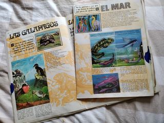 Album Bimbo El Porque de las Cosas 3 y adivinanzas