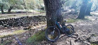 Bicicleta de montaña