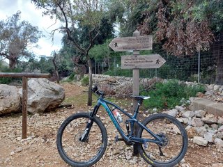 Bicicleta de montaña
