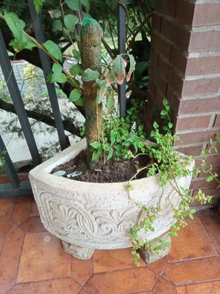 Jardinera de esquina