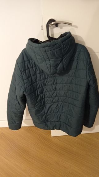 Plumifero