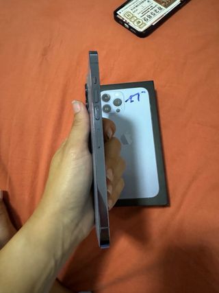 iphone 13 pro max 1 tb