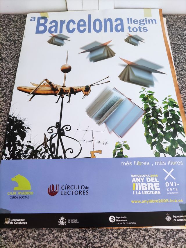 Posters varios y dibujo