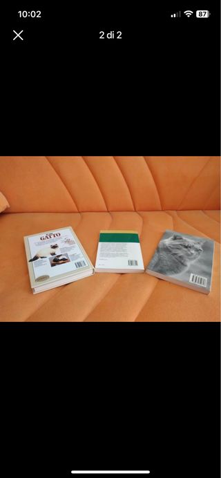 libri Kit Miciozzi 3 libri sui gatti
