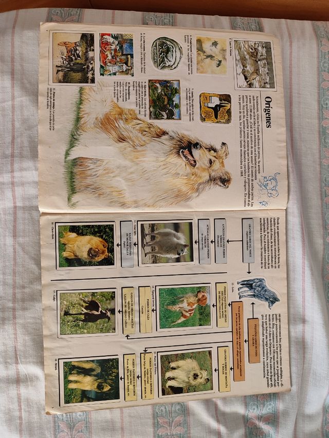 Album Animales Domésticos.Completo