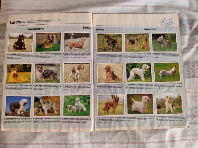 Album Animales Domésticos.Completo