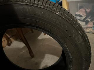 Neumático Bridgestone
