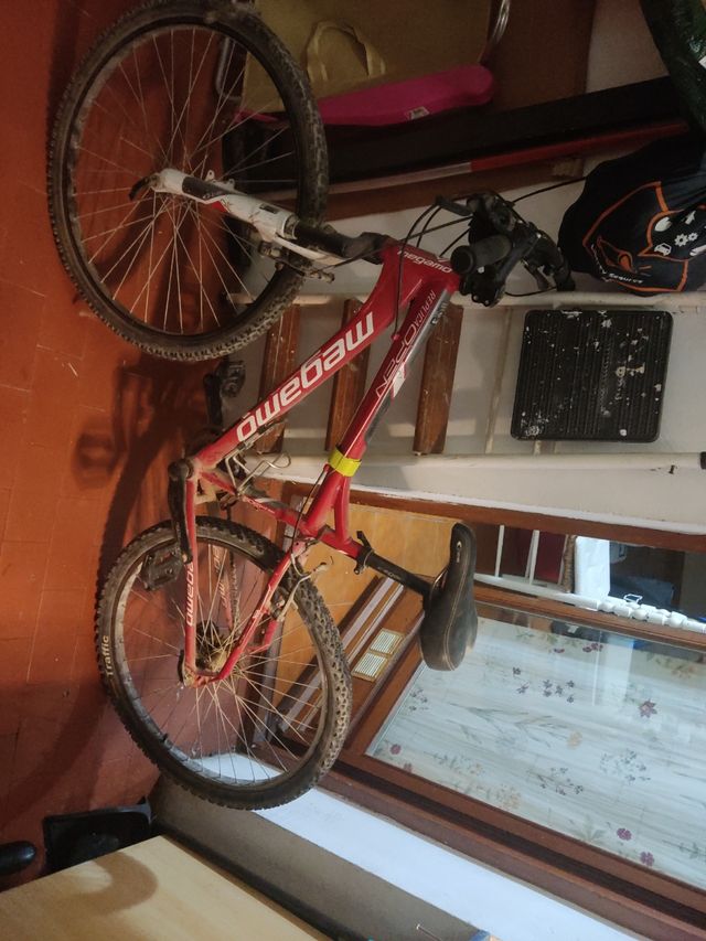 Bicicleta de montaña