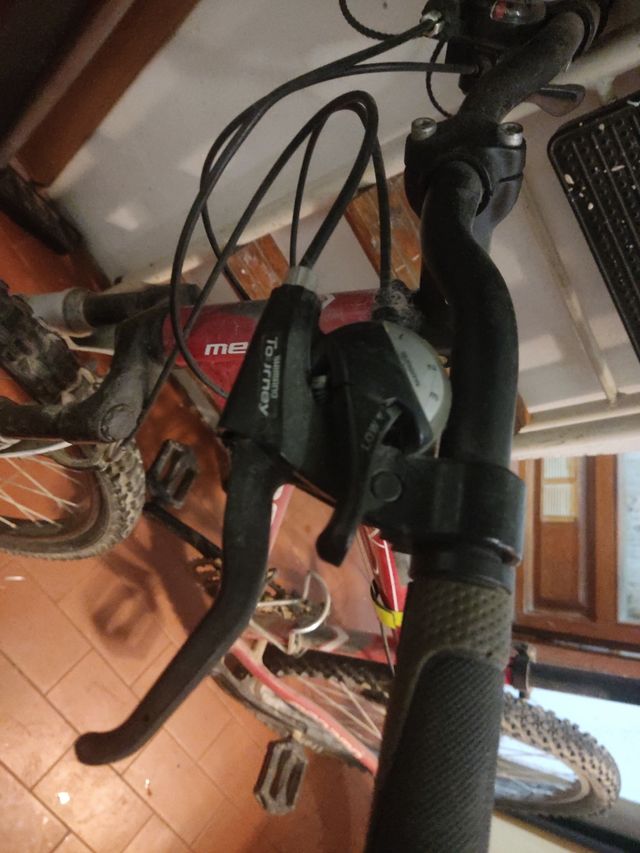 Bicicleta de montaña