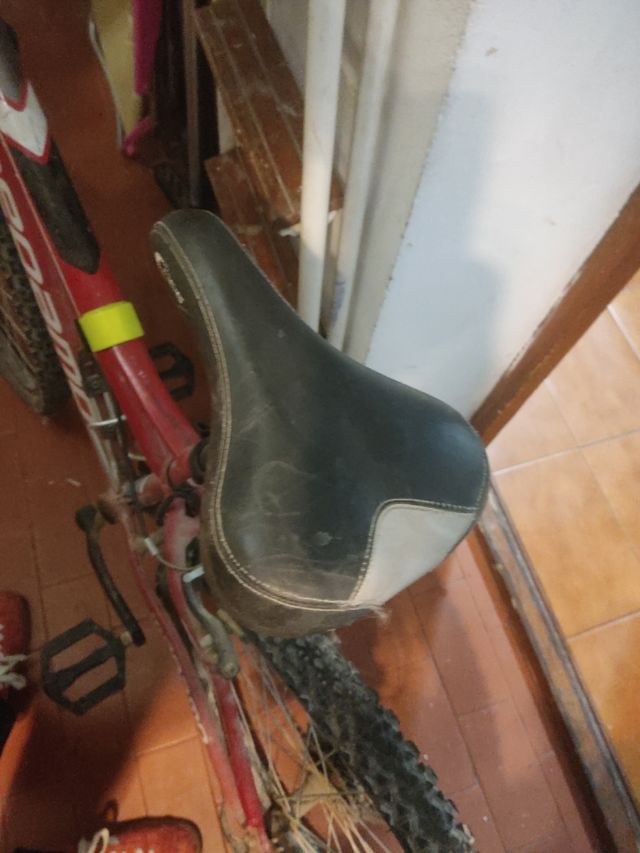 Bicicleta de montaña