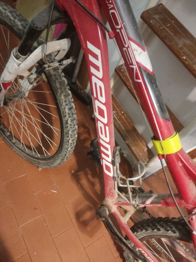 Bicicleta de montaña