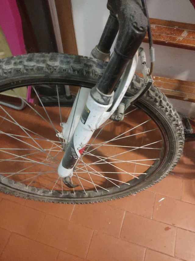 Bicicleta de montaña