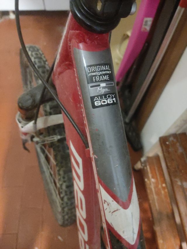 Bicicleta de montaña