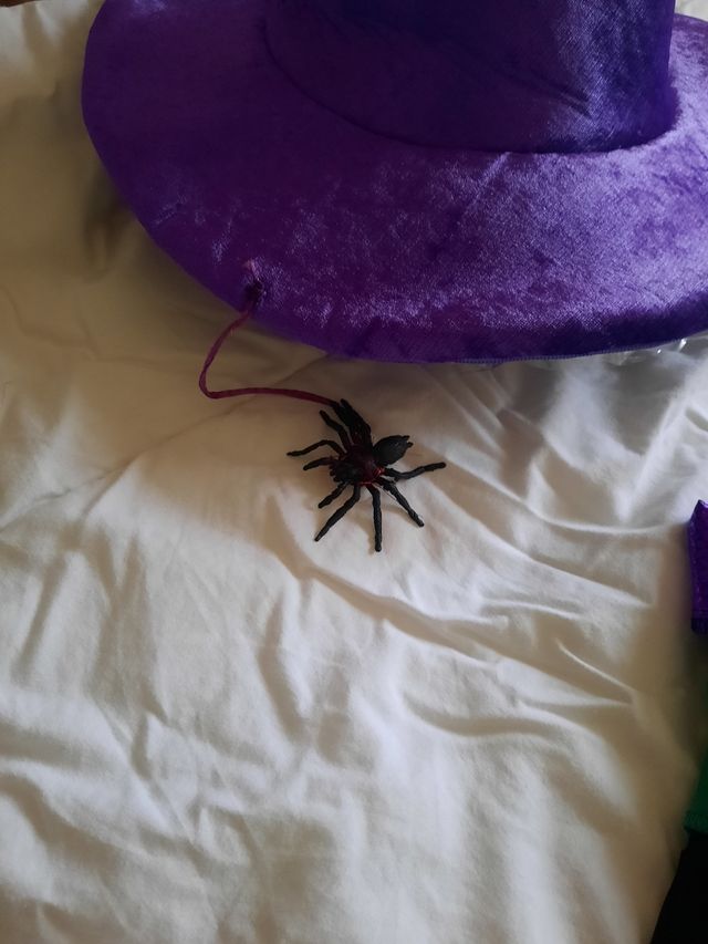 Disfraz Halloween para niñ@ entre 9 y 11