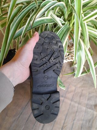 Stivaletti Geox n. 36