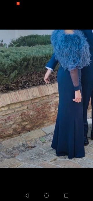 Vestido de fiesta  Rosa Clara