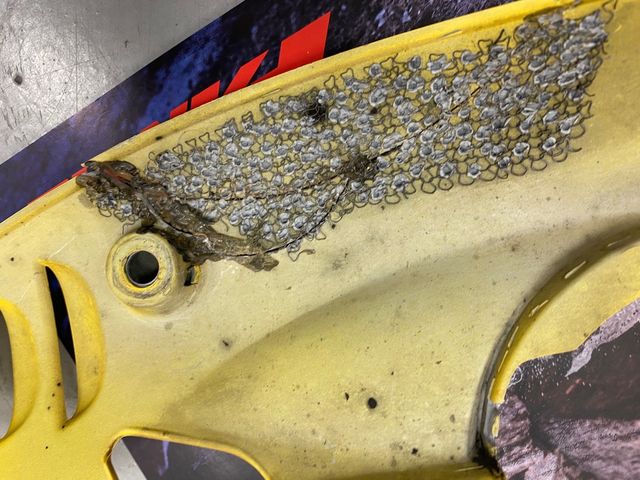 Carenado trasero Derecho BMW F650 GS