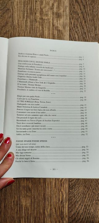 Libro "Diario di Penultimo"