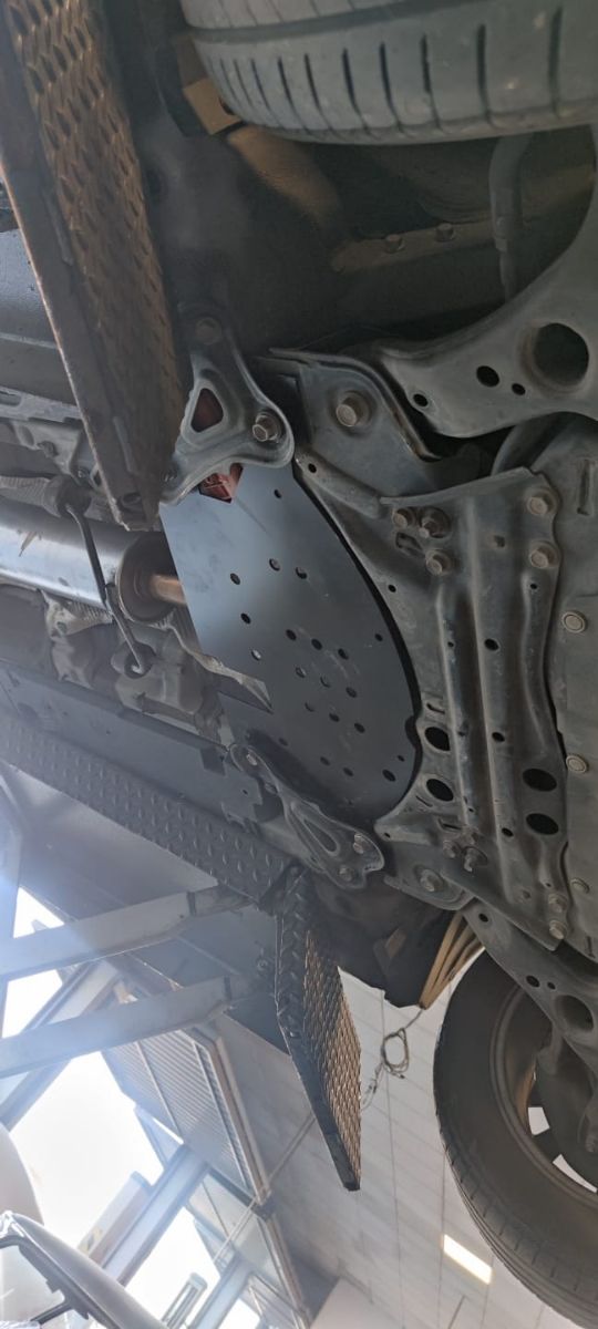 Protector Antirrobo Catalizador Prius Auris Lexus