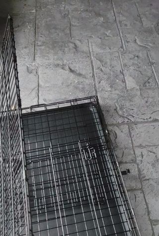 🐕Jaula GRANDE A estrenar