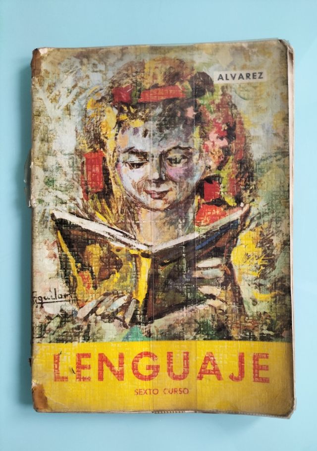 📚 Lenguaje sexto curso. Álvarez