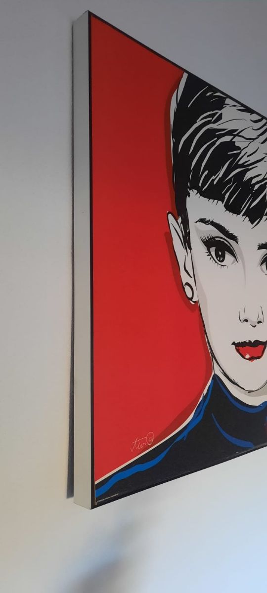 Cuadros Marilyn Monroe y Andrey Hepburn