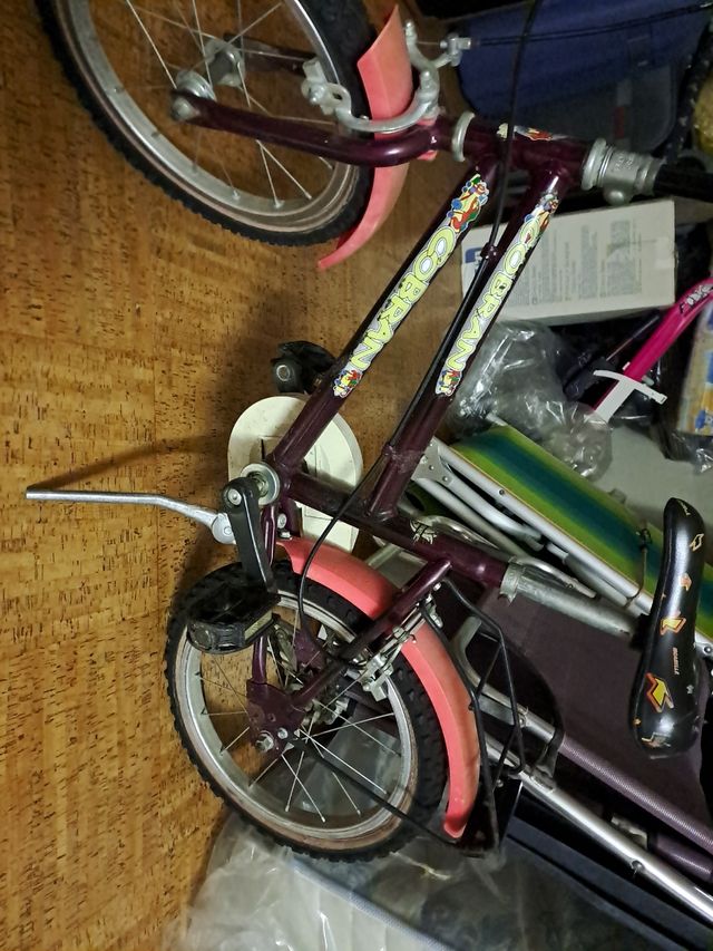 Bicicletta per bimbo