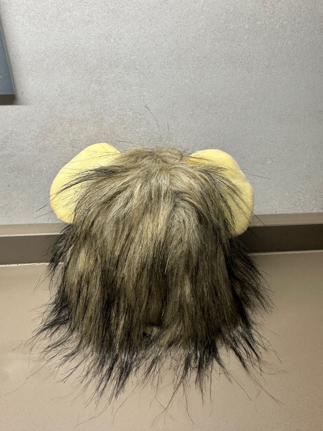 Peluca de león para gatos, perros u otras mascotas