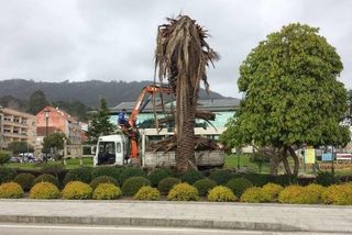 todo tipo de trabajos movimientos tierras