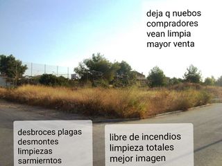 todo tipo de trabajos movimientos tierras