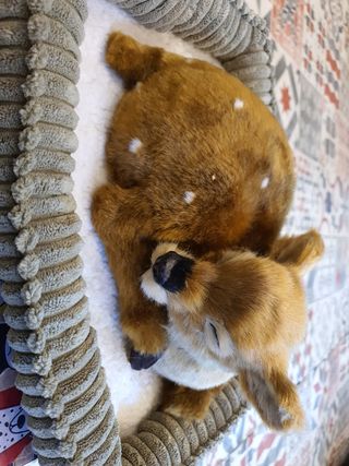 Peluche con movimiento