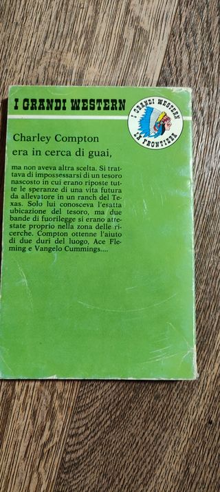 Libro "Il tesoro di Vallejo"